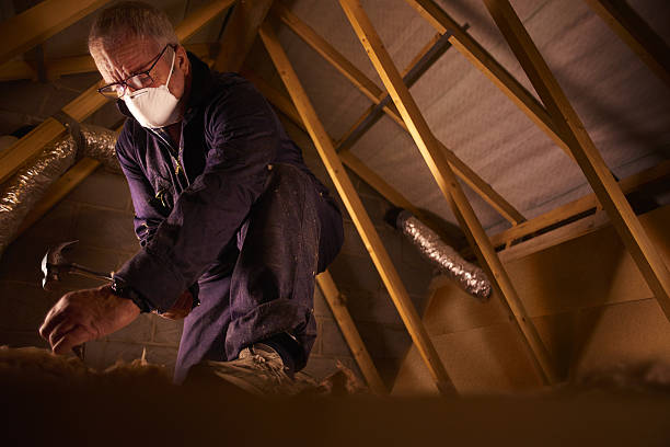 Best Insulation Maintenance and Repair in North Lynnwood, WA
