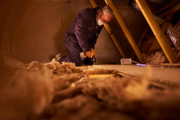 Best Insulation Materials and Products in North Lynnwood, WA